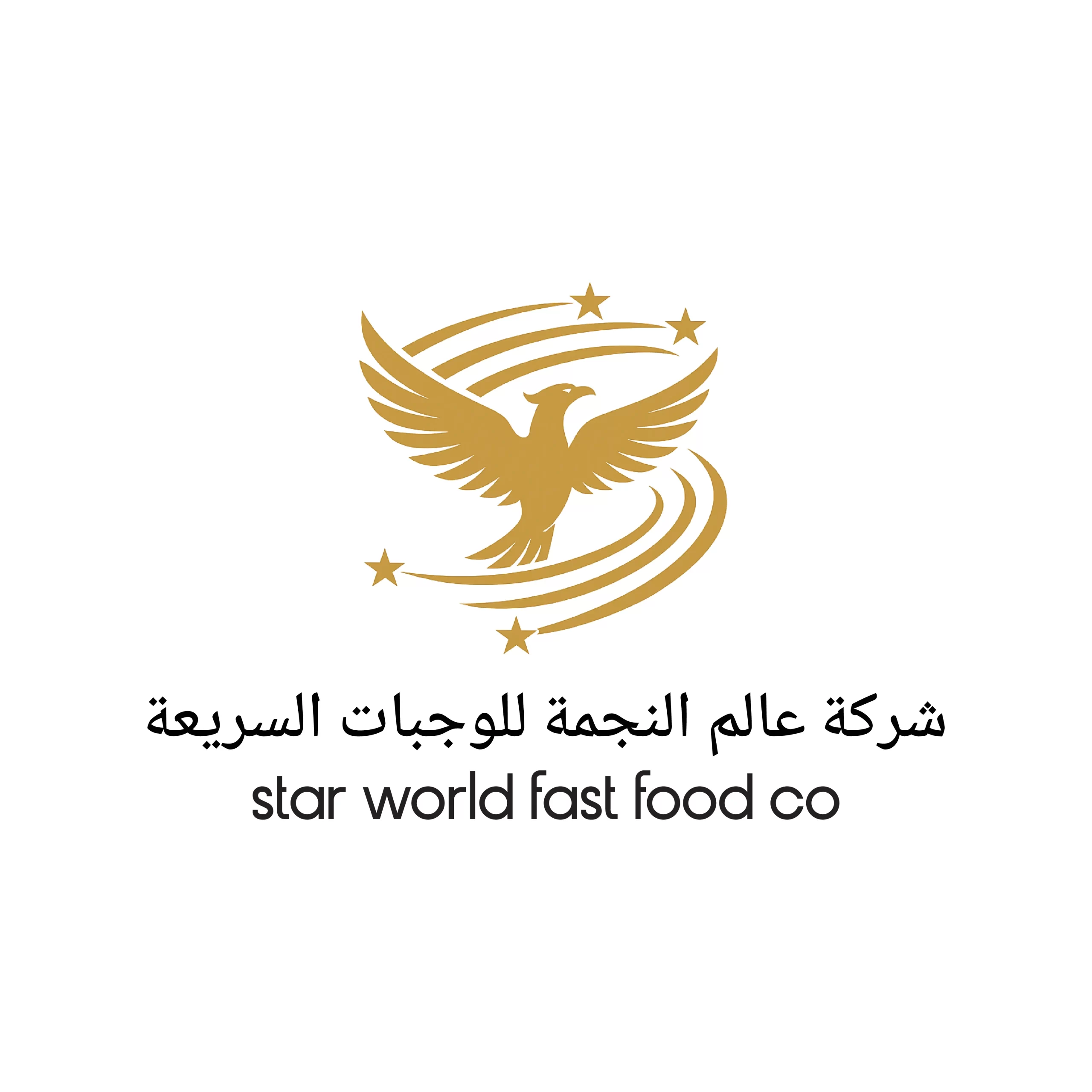 Star world logo Digital Marketing Agency in Calicut, kerala webp